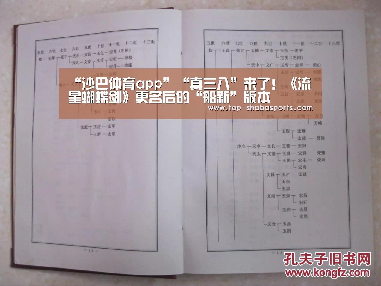 沙巴体育官网