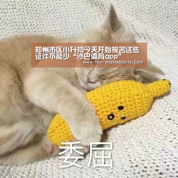 沙巴体育